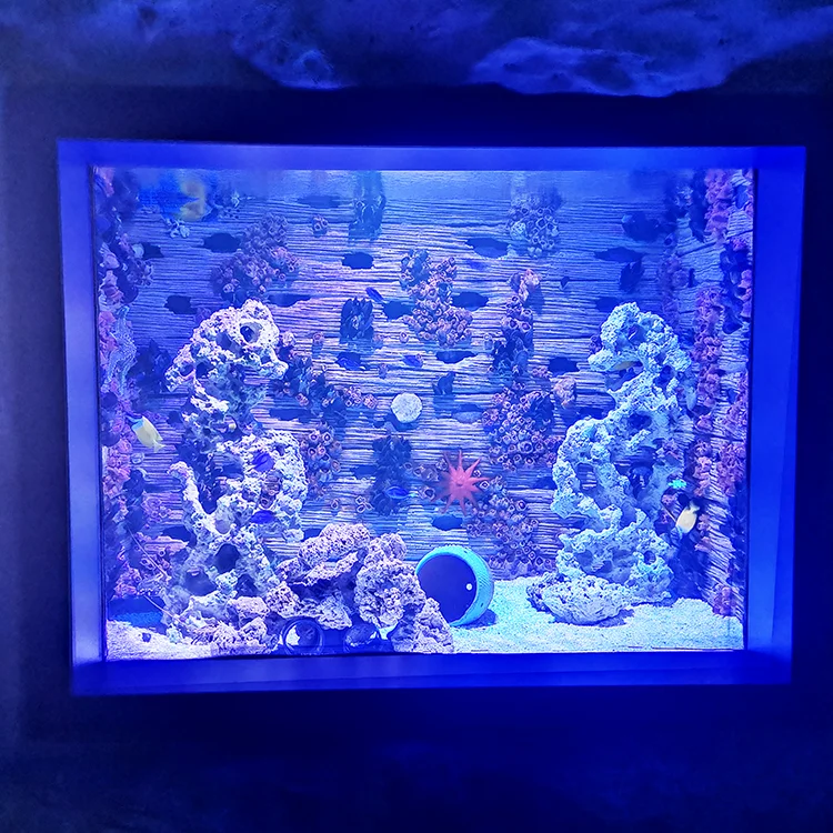 Ocean Park Large Custom Made Saltwater Aquarium, Clear Square Large Acrylic Aquarium Lucite Acrylic Fish Tank& AQUARIUMS Plastic