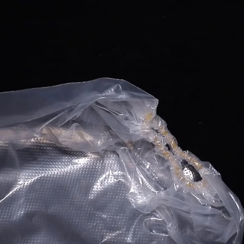 Sequence 01.Still019.JPG