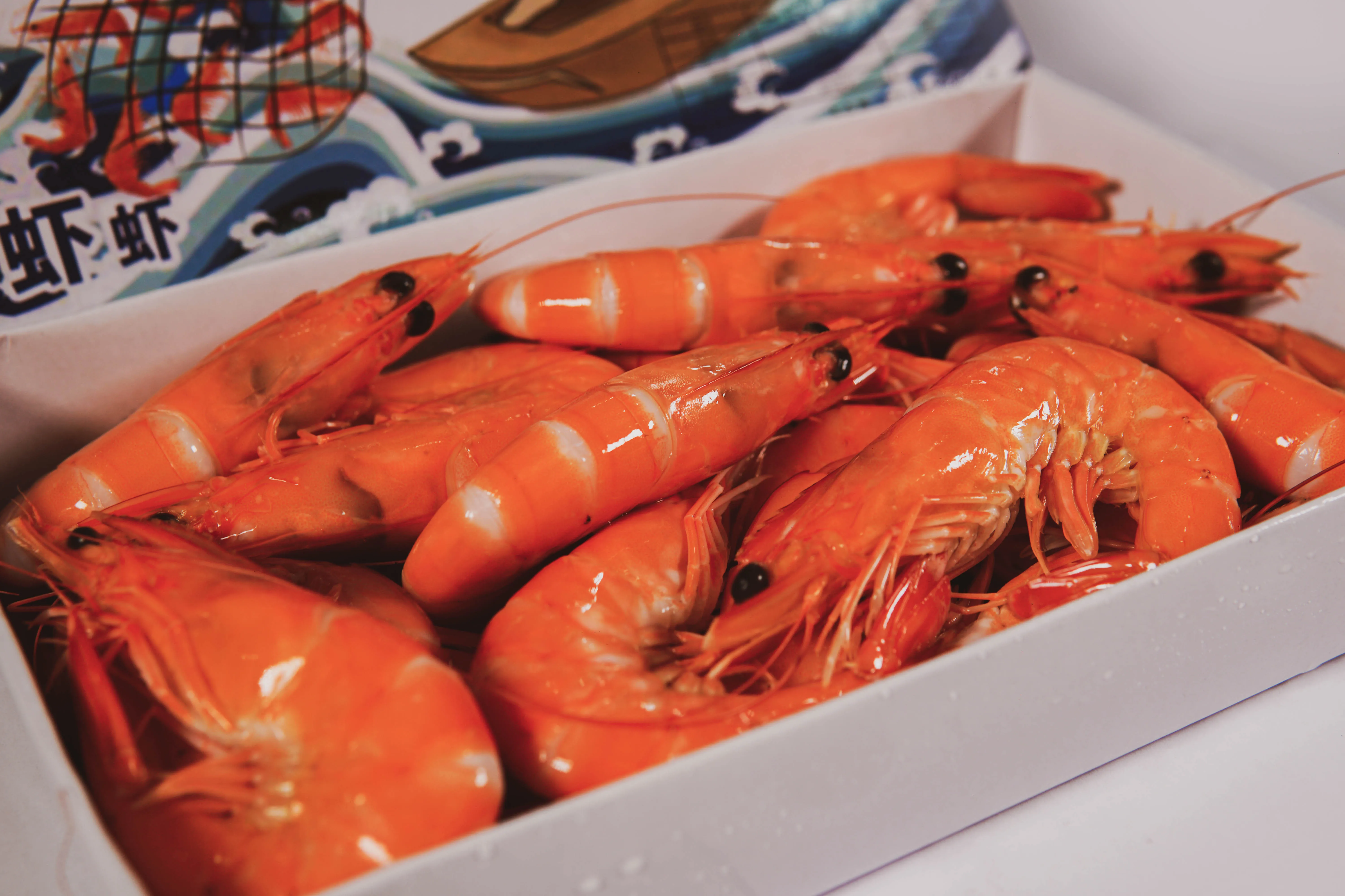 越南冷冻熟南美虾