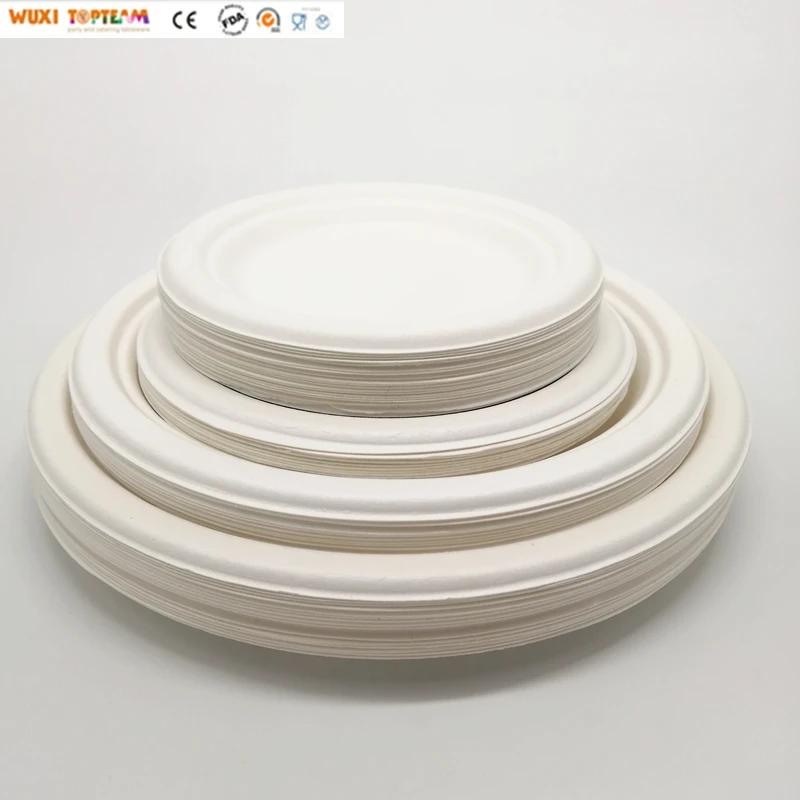 300 Pcs Disposable Biodegradable Dinnerware Set Sugarcane Bagasse ...