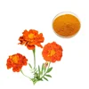 Manufacturer price Food Grade Water Soluble Marigold Extract Powder Zeaxanthin and Lutein