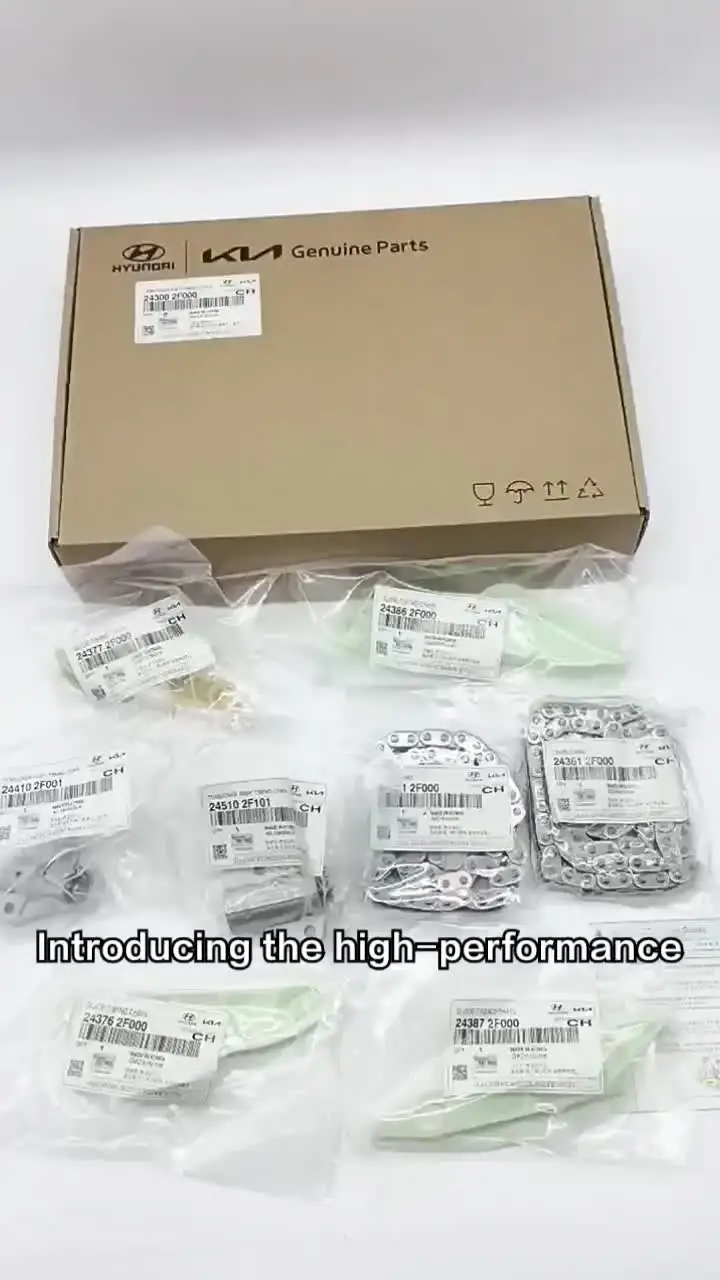 N樣 專用 High Quality Timing Chain Kit24300-03000 24300 03000
