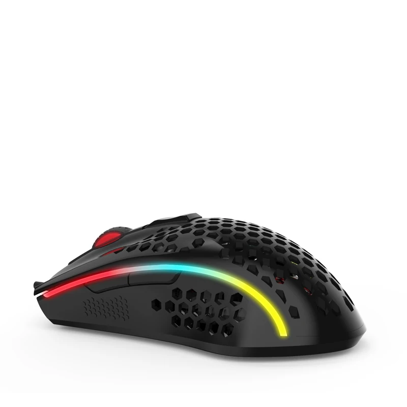 paracode mouse.jpg