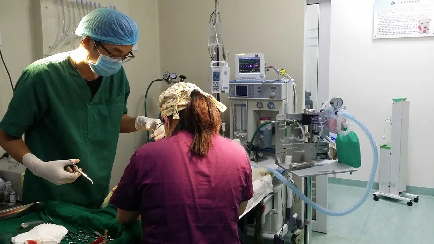 case in yunnan