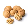 Fresh Unbroken Raw Walnuts in Shell