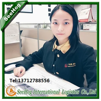 customs declarer.jpg