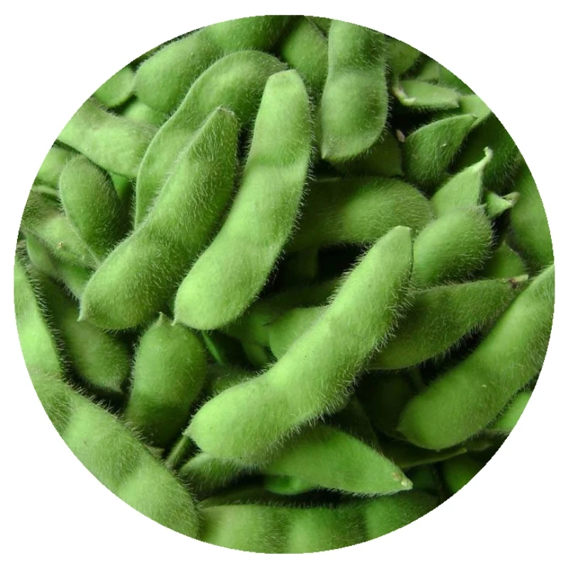 
DSF IQF Frozen Green Edamame Vegetables 