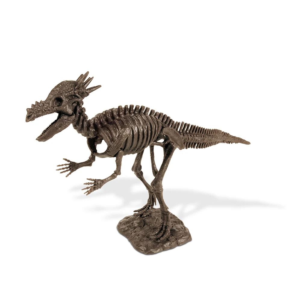 dinosaur skeleton diplodocus fossil toys excavation dig diy kit