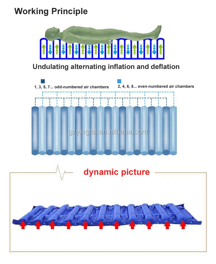 8615231846_864138993 .jpg