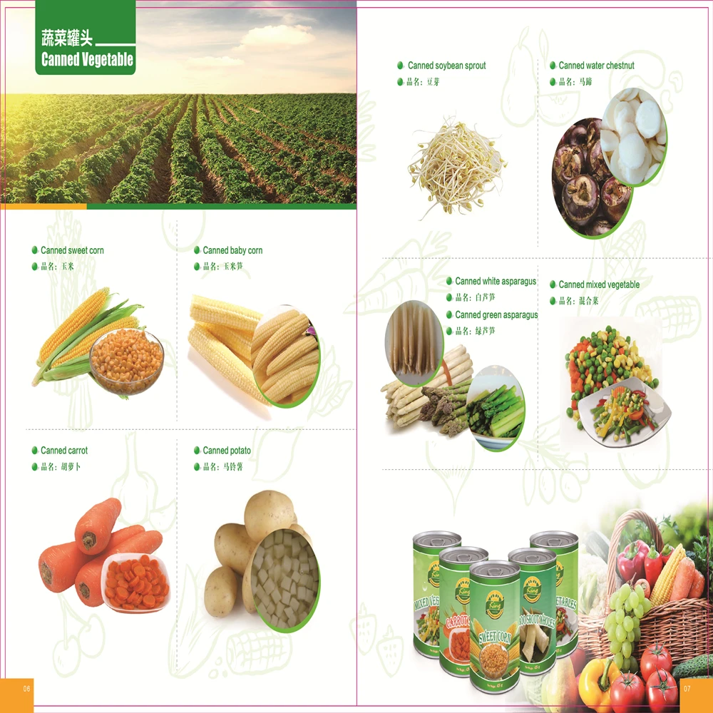catalog 5