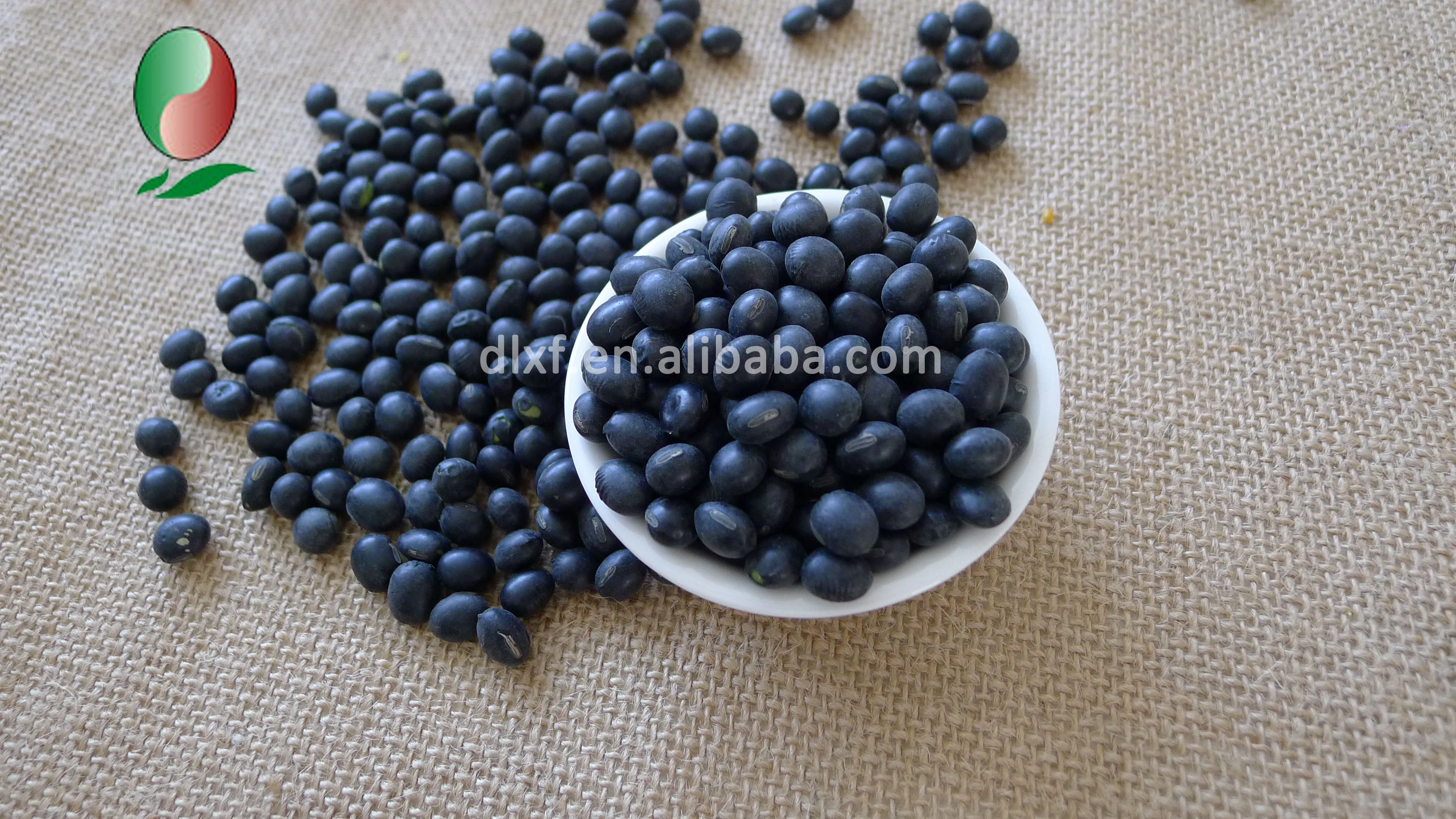 black soybean green kernel