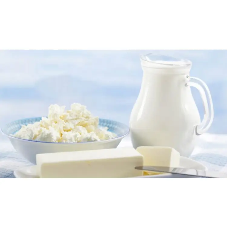 
Sodium Caseinate Manufacturer 