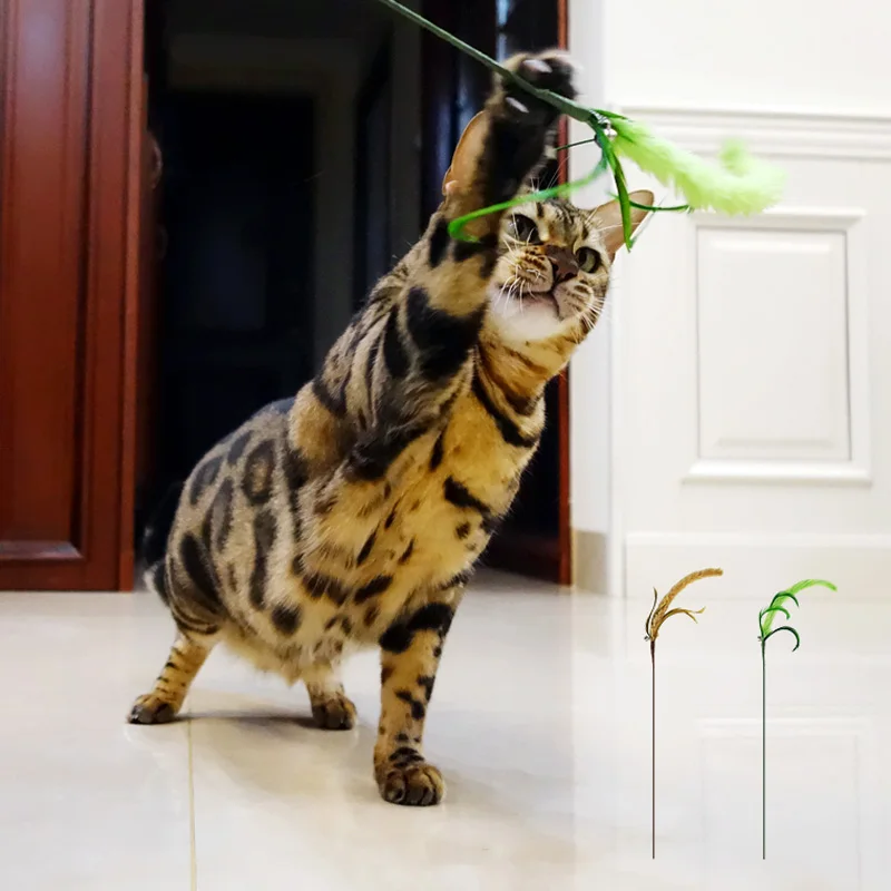 Interactive cat teaser stick overview