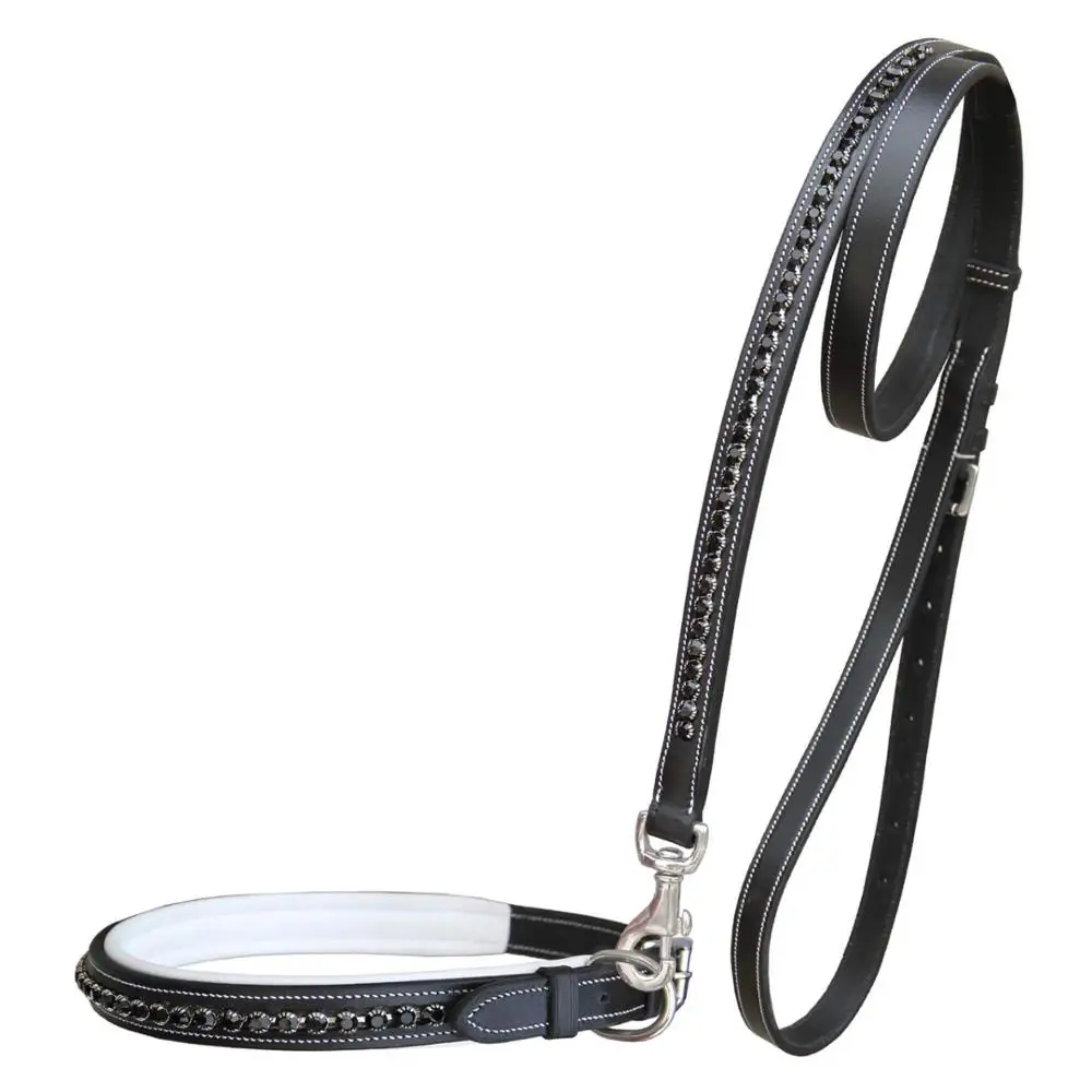 invisible dog leash wholesale