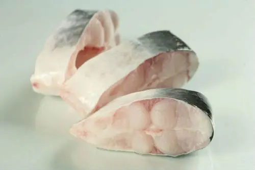 Pangasius Steak
