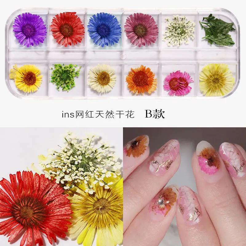12 Colours Nail 3d Art Dried Dry Flowersnew Japanese Nails Dried Flower