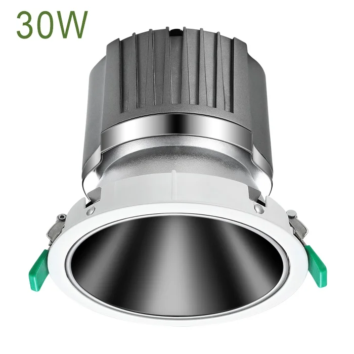30W Downlight Celling Spot LED Ceeling Lights Recess Recessed Reccessed Cilling Light Ceeling Spot LED Down Light