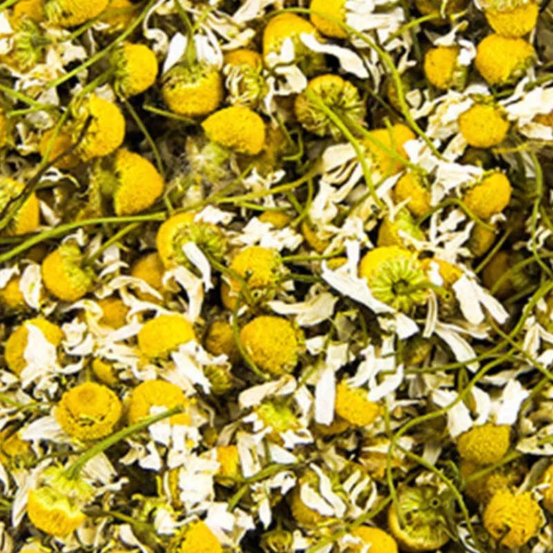 Wholesale Bulk Price Dried Chamomile Flowers Herbal Tea Buy Dried Chamomile Flowers Herbal Tea Dried Chamomile Flowers Tea Chamomile Flowers Herbal Tea Product On Alibaba Com