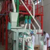 Automatic 6FYDT-50T maize flour processing machine/corn semolina processing machine for uganda