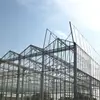 Venlo Type Tip Roof PC Sunshine Board Multi-Span Greenhouse for Seedling Breeding/Rose Market/Dwarfed Fruit Tree