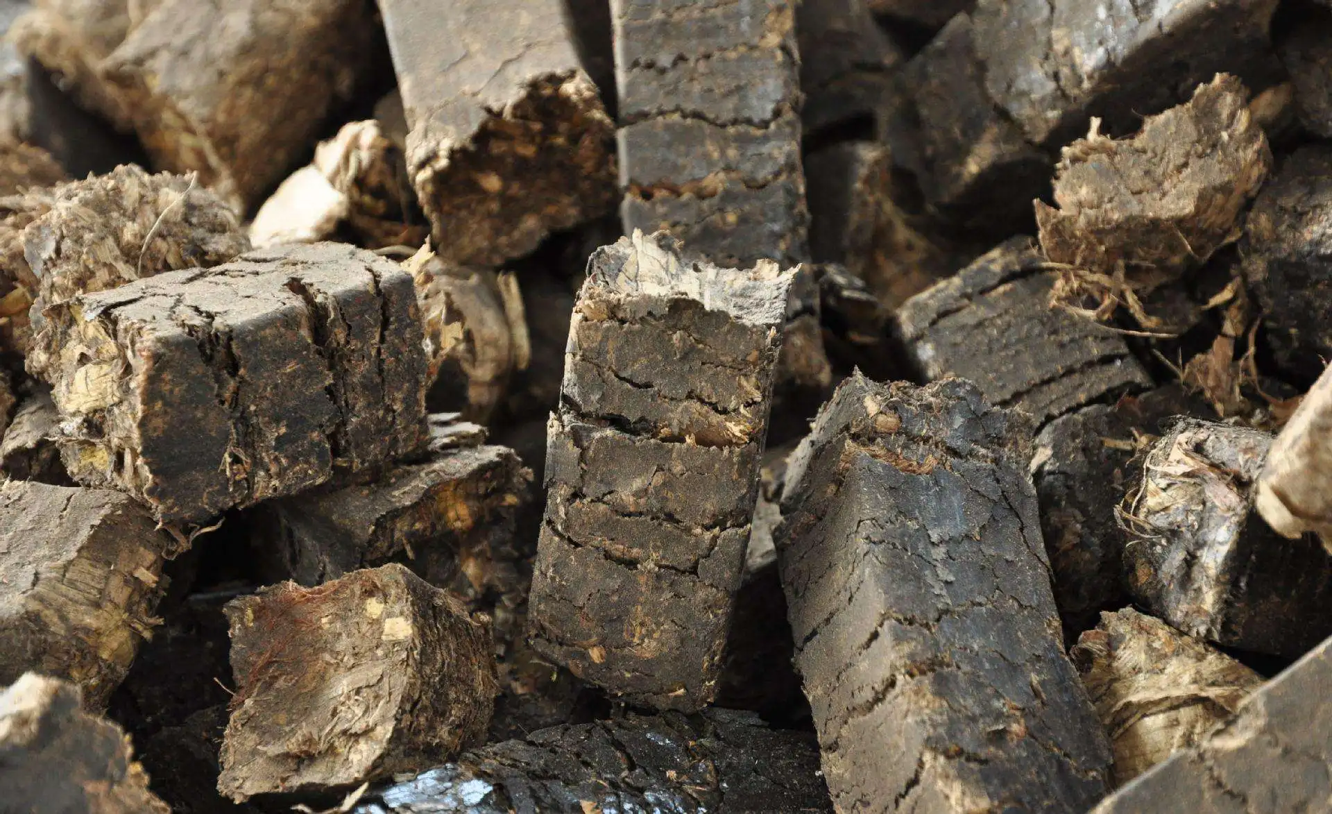 用于加热/草型煤机/生物质燃料柠檬木炭压块机的生物质压榨机