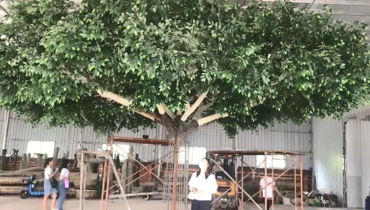 Купить Большие Деревья