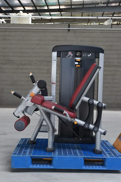 LS-916 Leg Extension (2).JPG