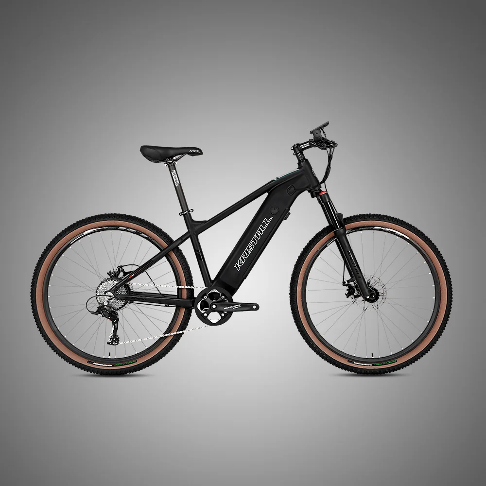 2021 latest 9 speed electric power assist bicycle