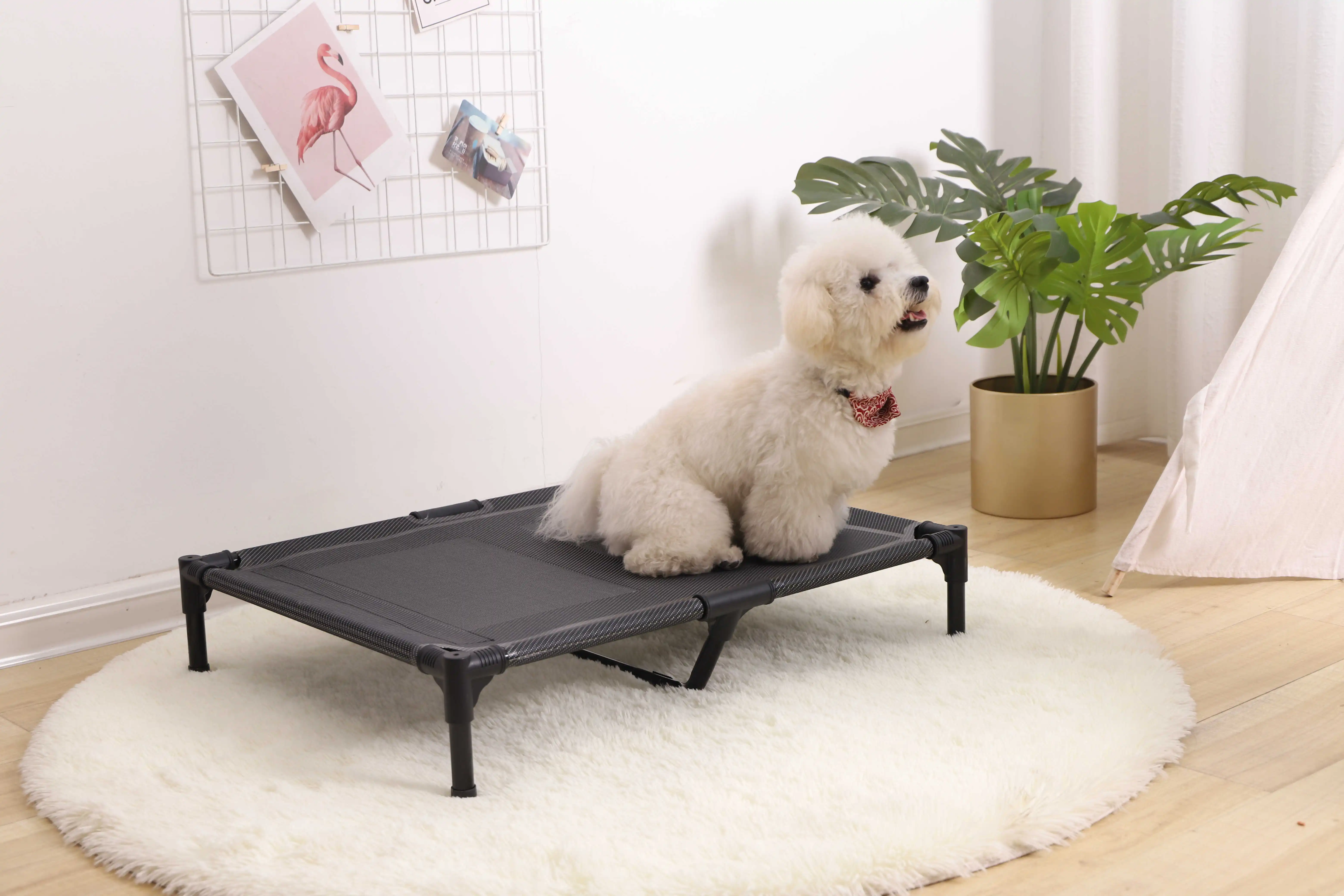 dog elevated bed