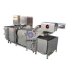 Automatic Water Saving Air Bubble Salmon Fish Seafood Cleaning Washing Processing Machine