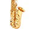 /product-detail/gold-lacquer-brass-alto-instrument-accessories-professional-eb-china-sax-saxophone-alto-62408129162.html