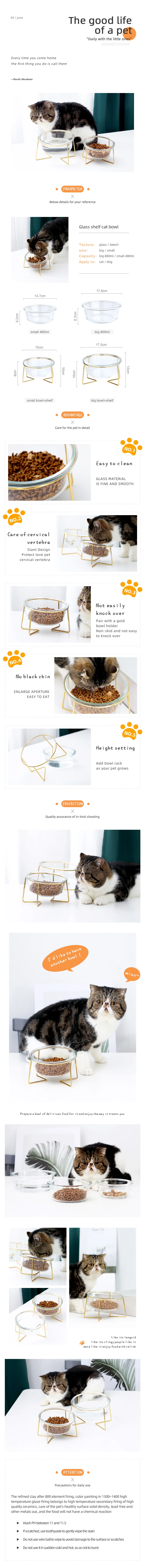 water fontain cat.jpg