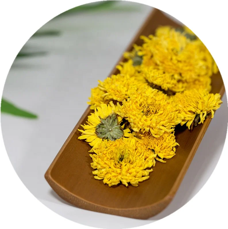 Health Benefits Yellow Chrysanthemum Organic Green Tea - 4uTea | 4uTea.com