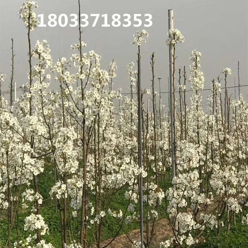 mmexport1586744631916_