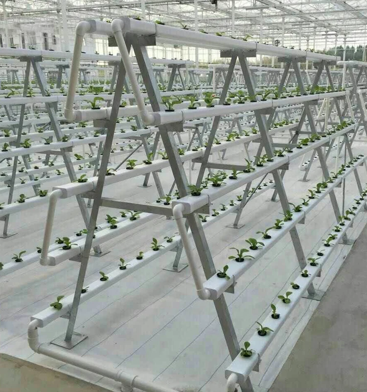 Hydroponic channel X4.jpg