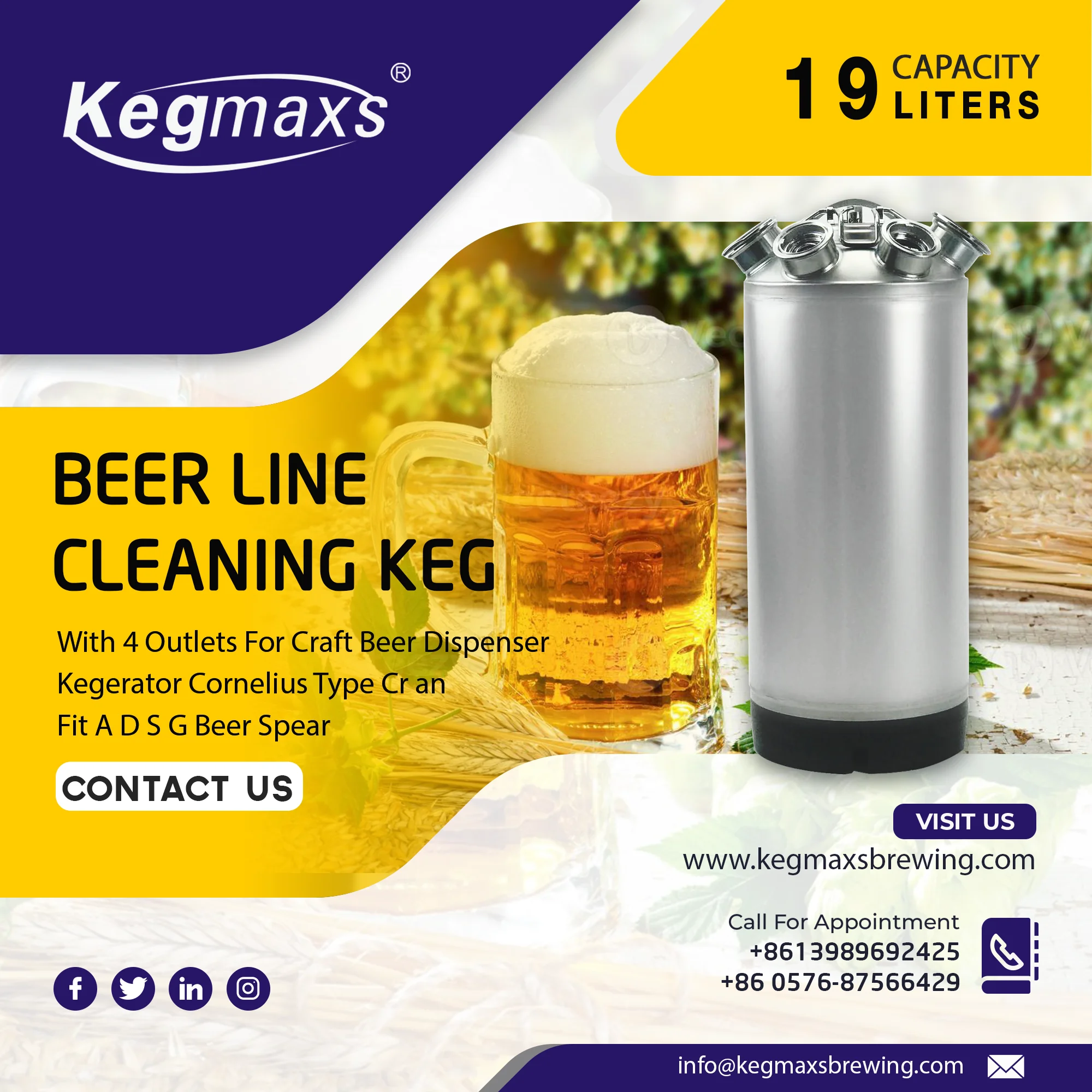 Kegmaxs Ball Lock Keg Cleaning Keg 19l With 4 Outlets Corny Keg Malt ...