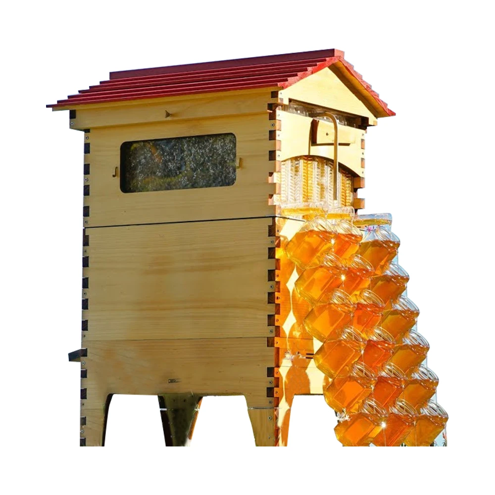 Hive For Bees Golden Palace Automatic Flows Hive 2 Beehive 7pcs Super ...