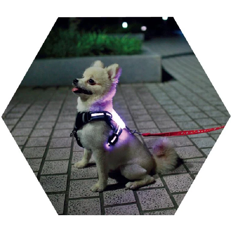 

harness dog,2 Pieces, Multicolor
