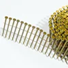 Lowest price highest quality common wire nail pallet coil nail/common wire nail/bulk pallet nails