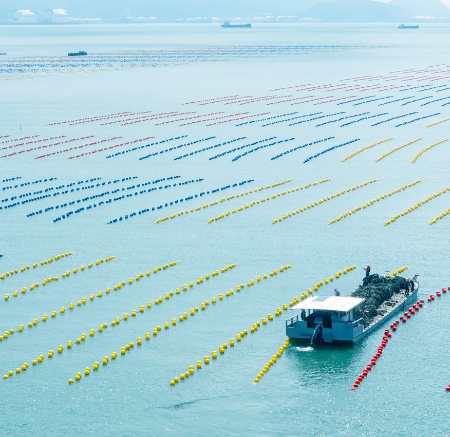Hdpe Raft HDPE Raft Type Suspended Floating Ball| Alibaba.com