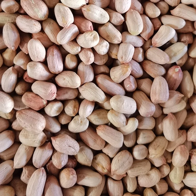 buyers wholesale jumbo raw bold blanched peanuts kernels for cooking details