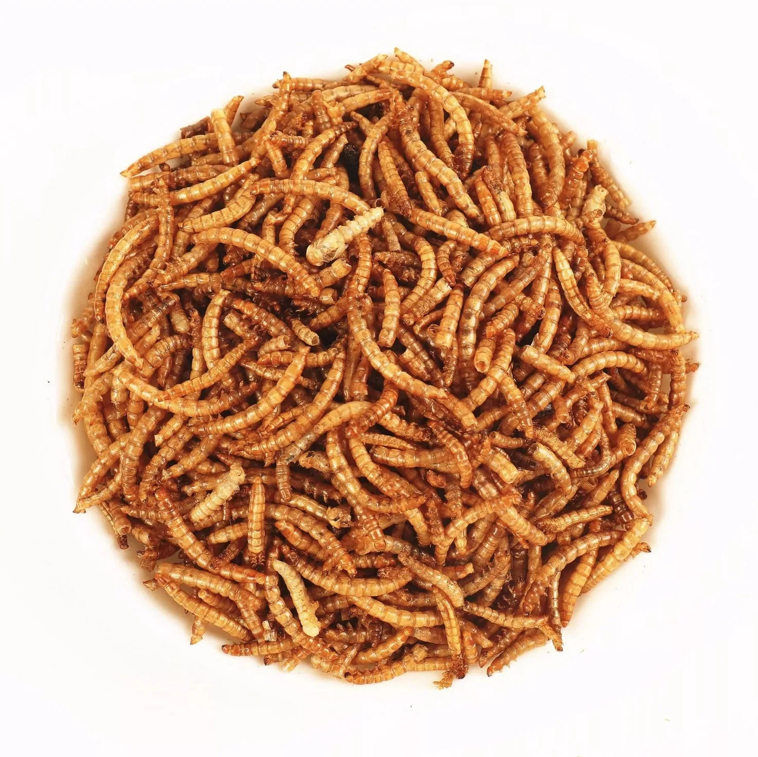 Freeze Dried Mealworm High Protein Dried Mealworm - Buy Hunan Peto ...