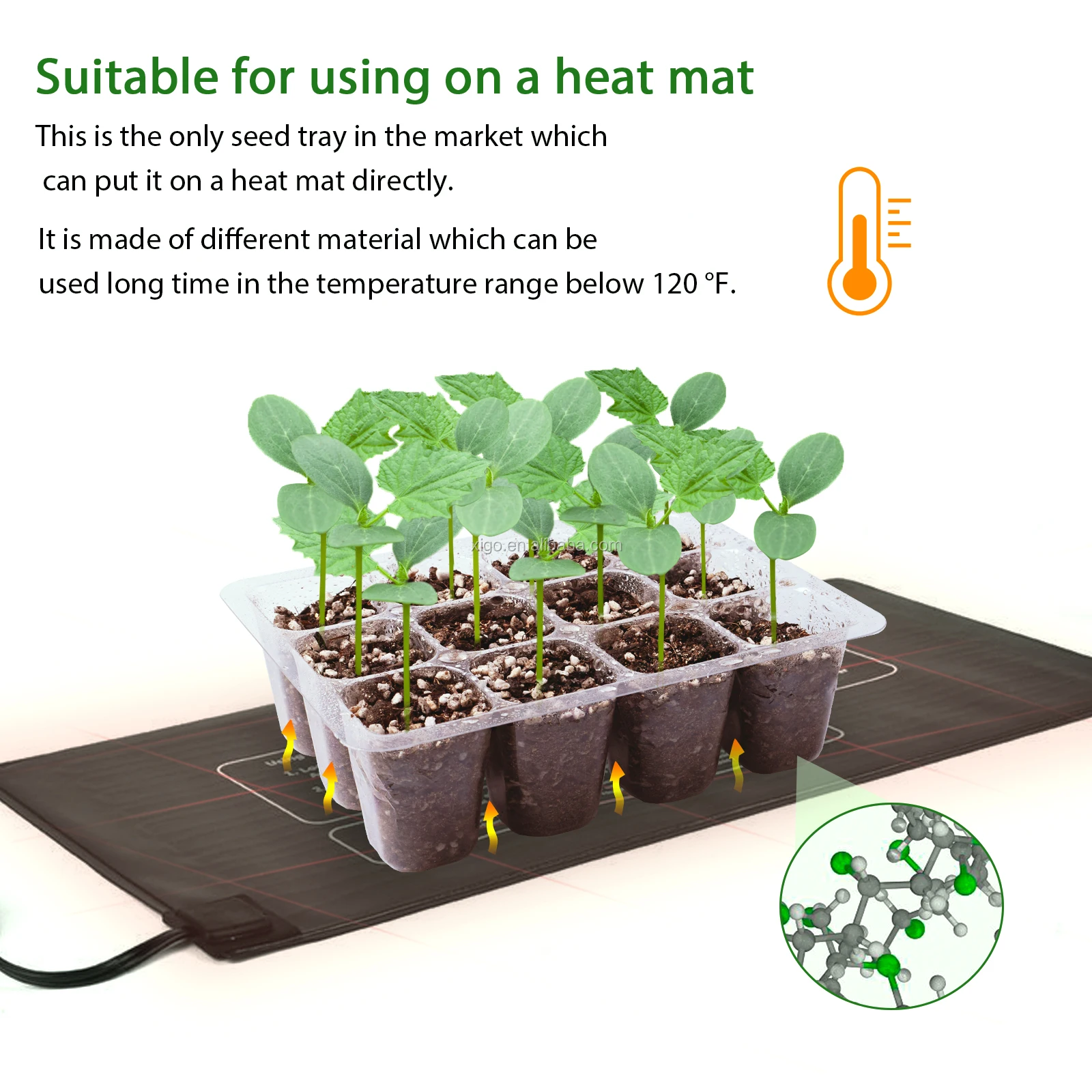 Hot Sale Seed 6 / 12 Cells Per Tray Germination Vegetable Plant Plastic