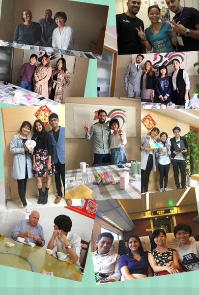 Made in China Individually Wrapped Girl Use Panty Liners Cool Mint Herbal Pantyliner  .jpg