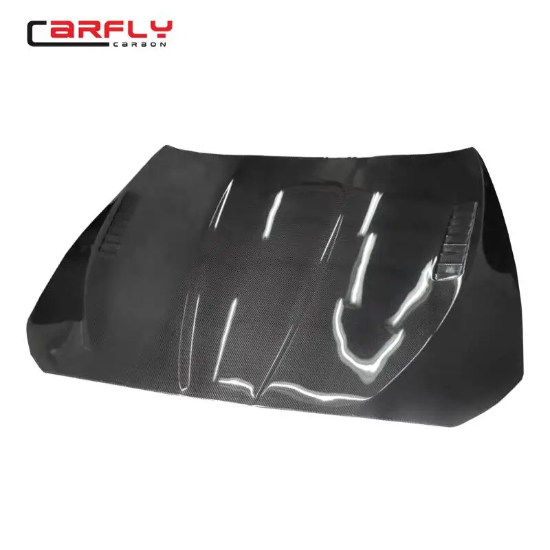 BMW F10 hood 2.jpg