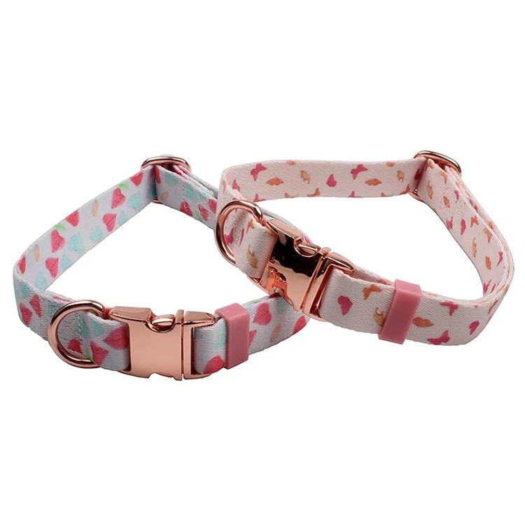 Pet Collar-47