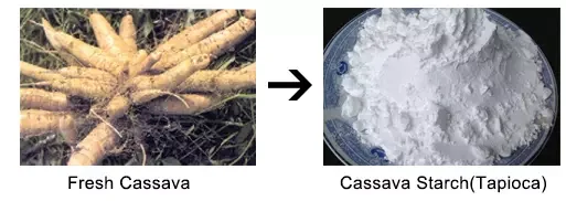 starch (2).jpg