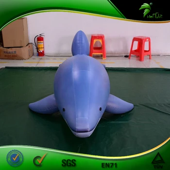 blow up dolphin toys