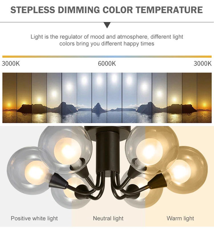 Modern Indoor Antique Decoration Home Decorative Round Ball LED Ceiling Lamp