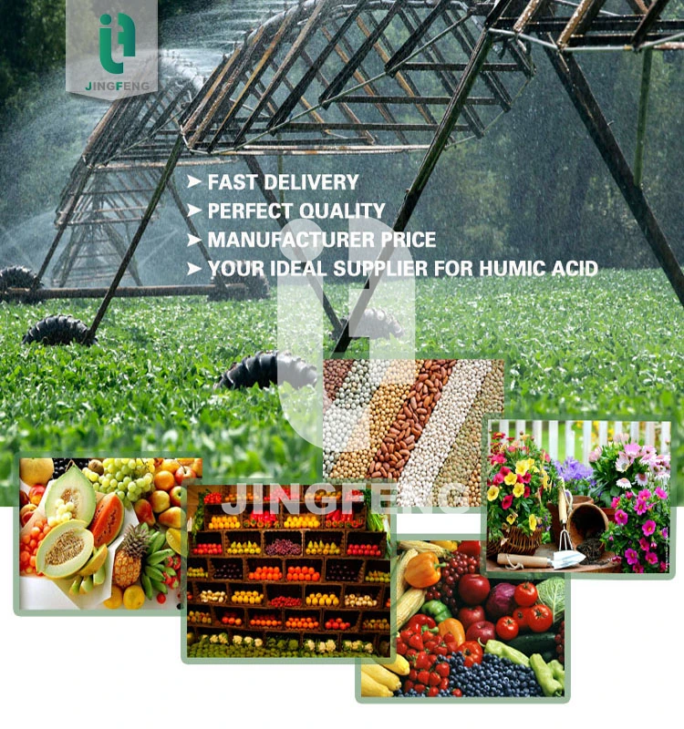 Fulvic Acid